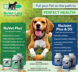 照顾你的狗的免疫系统和关节健康与NuVet实验室