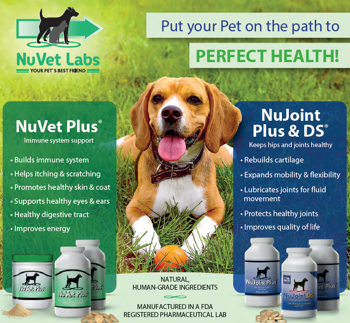 照顾你的狗的免疫系统和关节健康与NuVet实验室
