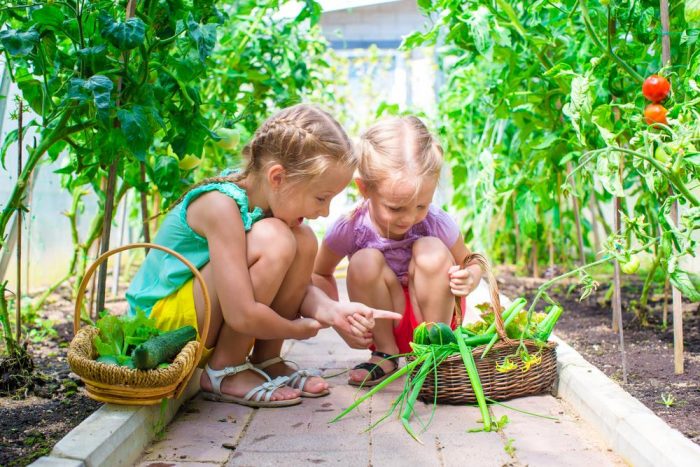 三个简单的园艺项目为您的孩子